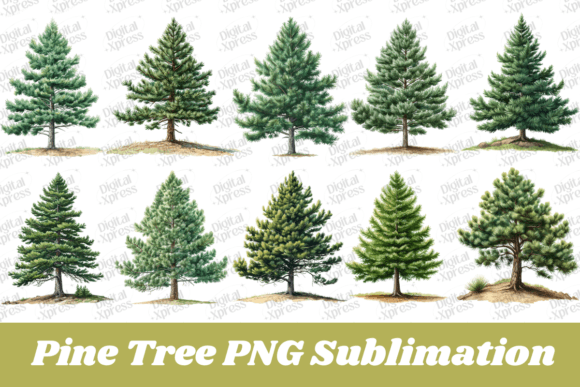 Download Pine Tree PNG Sublimation - Pine tree Collection